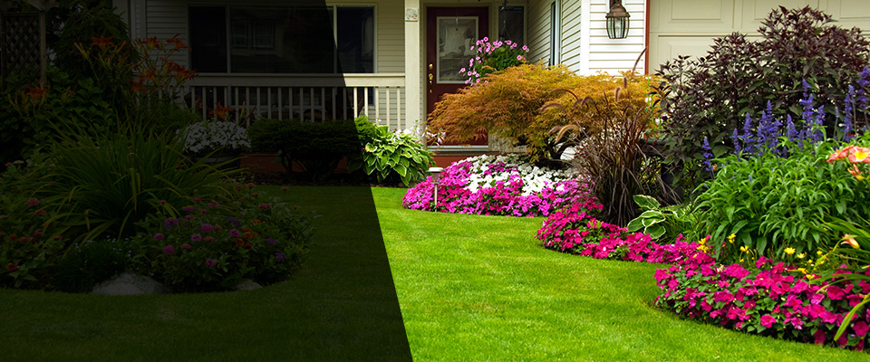 Forsyth Landscapers